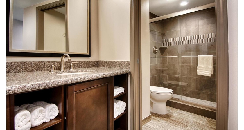 Imagen de la habitación del Hotel Comfort Inn and Suites At Copeland Tower. Foto 6