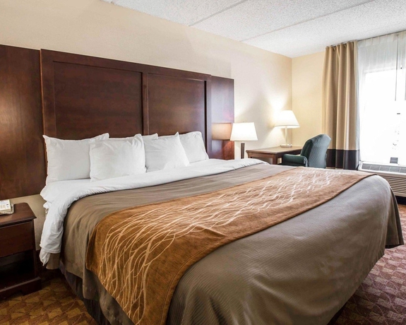 Imagen de la habitación del Hotel Comfort Inn and Suites At I-85. Foto 2
