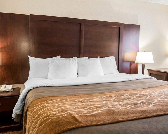 Imagen de la habitación del Hotel Comfort Inn and Suites At I-85. Foto 3