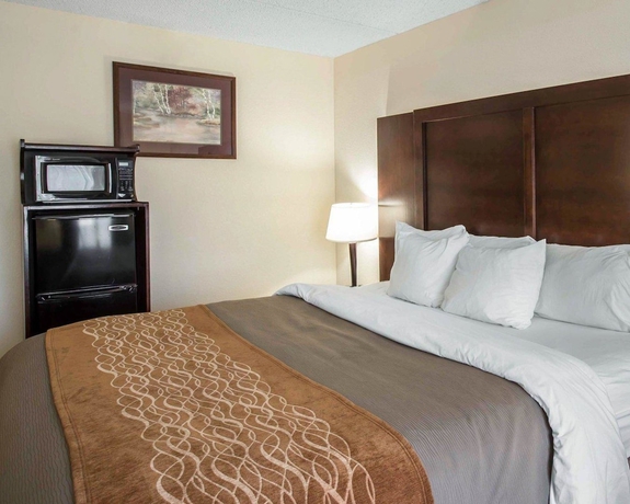 Imagen de la habitación del Hotel Comfort Inn and Suites At I-85. Foto 4
