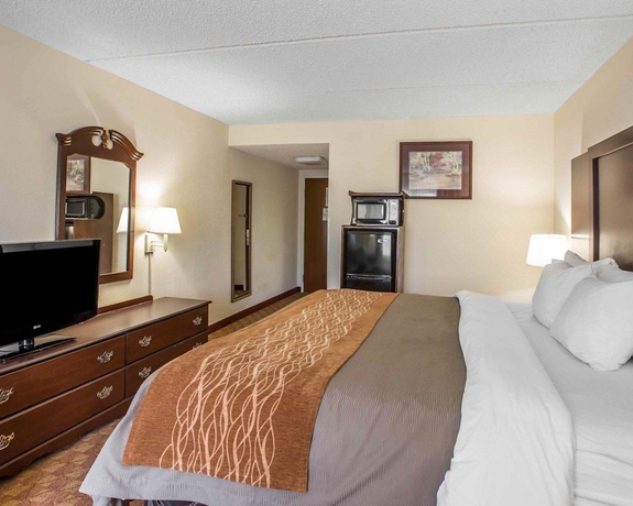 Imagen de la habitación del Hotel Comfort Inn and Suites At I-85. Foto 5