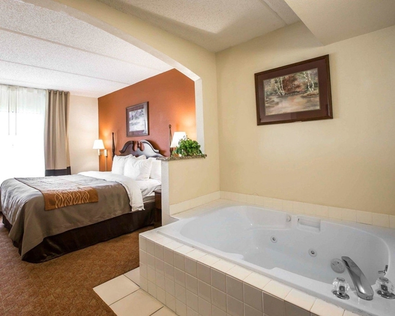 Imagen general del Hotel Comfort Inn and Suites At I-85. Foto 1