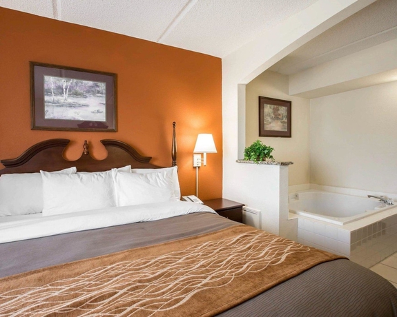 Imagen de la habitación del Hotel Comfort Inn and Suites At I-85. Foto 6
