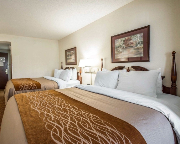 Imagen de la habitación del Hotel Comfort Inn and Suites At I-85. Foto 7