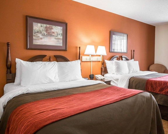 Imagen de la habitación del Hotel Comfort Inn and Suites At I-85. Foto 10