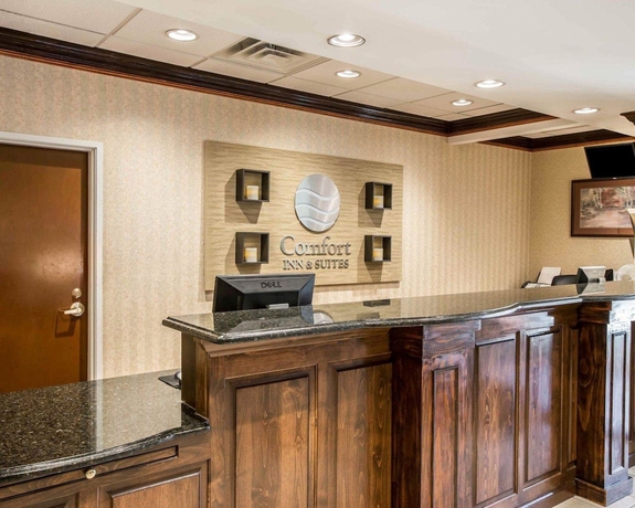 Imagen de los interiores del Hotel Comfort Inn and Suites At I-85. Foto 16
