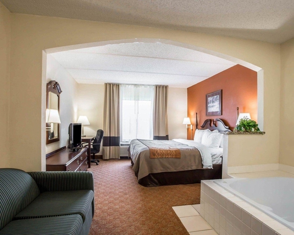 Imagen de la habitación del Hotel Comfort Inn and Suites At I-85. Foto 11
