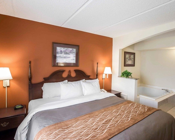 Imagen de la habitación del Hotel Comfort Inn and Suites At I-85. Foto 12