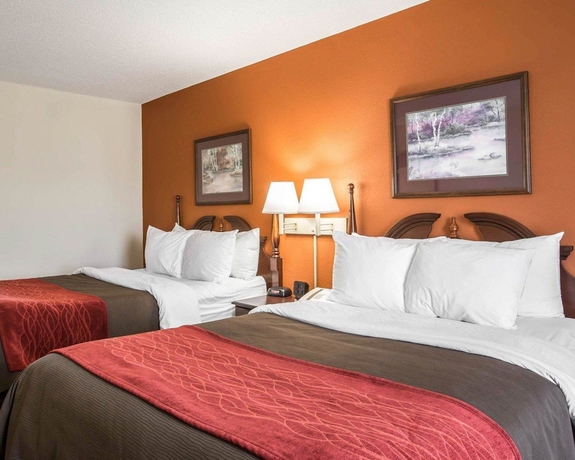 Imagen de la habitación del Hotel Comfort Inn and Suites At I-85. Foto 13