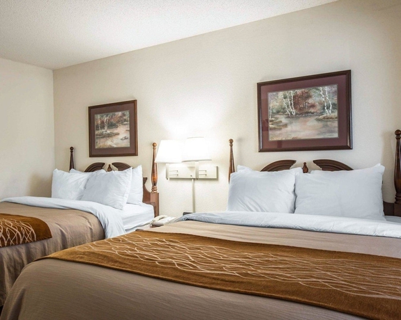 Imagen de la habitación del Hotel Comfort Inn and Suites At I-85. Foto 14
