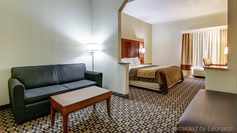 Imagen general del Hotel Comfort Inn and Suites Athens. Foto 8