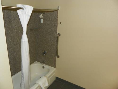 Imagen de la habitación del Hotel Comfort Inn and Suites Beaverton - Portland West. Foto 7