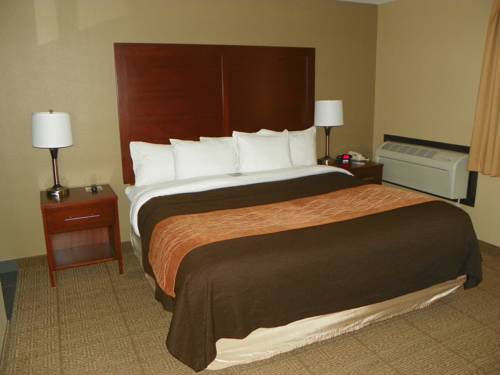 Imagen de la habitación del Hotel Comfort Inn and Suites Beaverton - Portland West. Foto 10