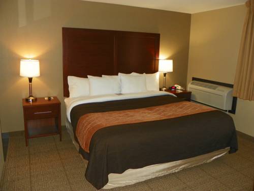 Imagen de la habitación del Hotel Comfort Inn and Suites Beaverton - Portland West. Foto 11