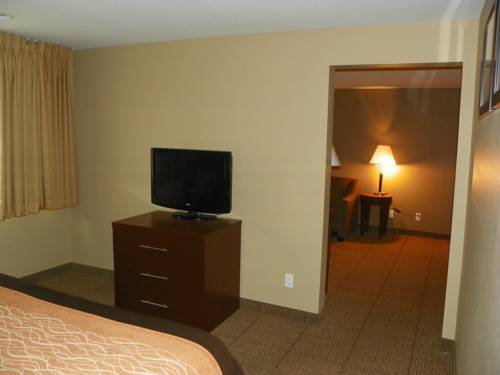 Imagen de la habitación del Hotel Comfort Inn and Suites Beaverton - Portland West. Foto 15