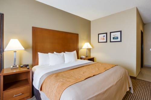 Imagen de la habitación del Hotel Comfort Inn and Suites Bellevue - Omaha Offutt Afb. Foto 4