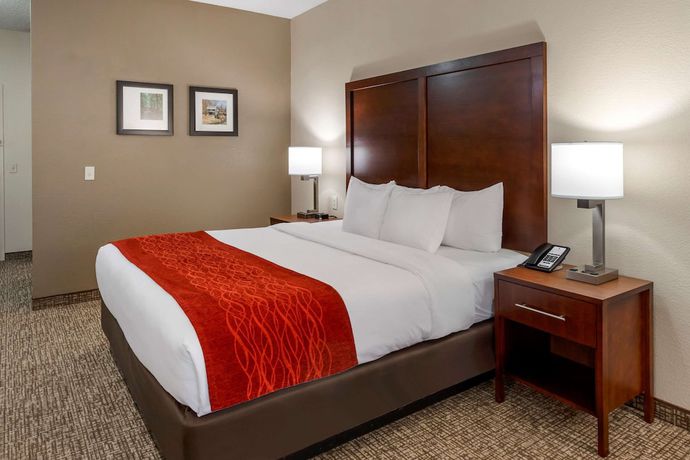 Imagen de la habitación del Hotel Comfort Inn and Suites, Canton. Foto 15