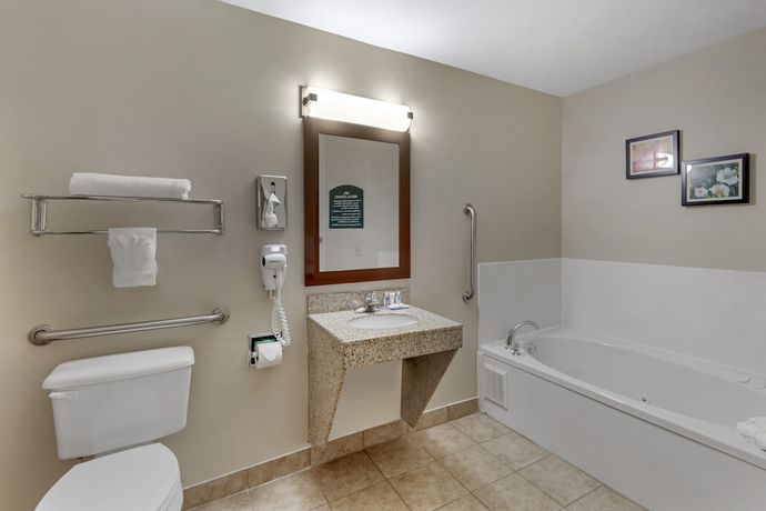 Imagen de la habitación del Hotel Comfort Inn and Suites, Canton. Foto 16