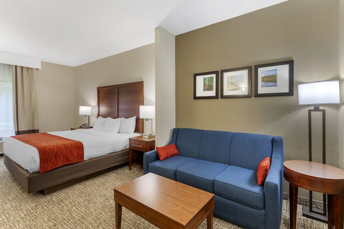 Imagen de la habitación del Hotel Comfort Inn and Suites, Canton. Foto 18