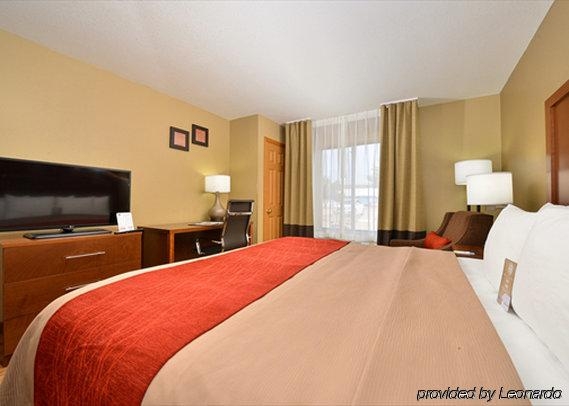Imagen general del Hotel Comfort Inn and Suites Cedar Rapids North - Collins Road. Foto 3