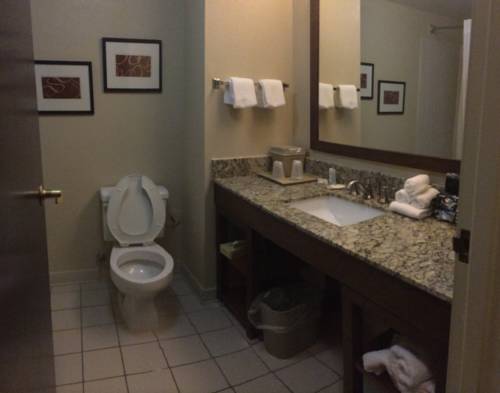 Imagen de la habitación del Hotel Comfort Inn and Suites Christiansburg I-81. Foto 11