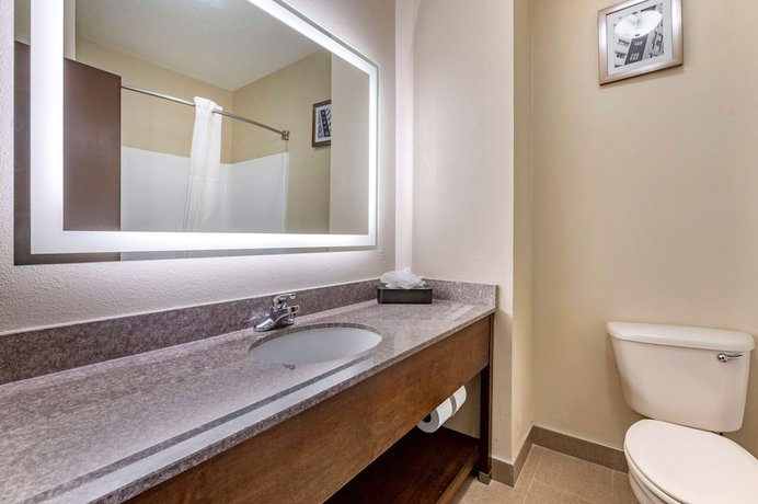 Imagen de la habitación del Hotel Comfort Inn and Suites, Cincinnati. Foto 11