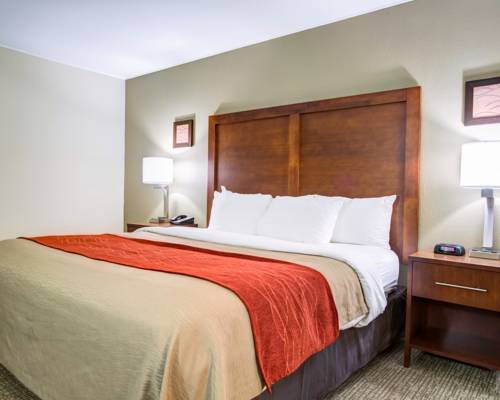 Imagen de la habitación del Hotel Comfort Inn and Suites Clemson - University Area. Foto 2