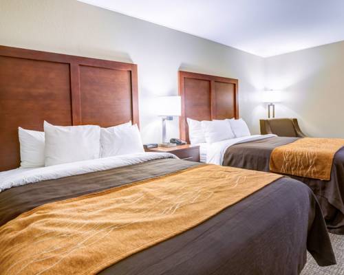 Imagen de la habitación del Hotel Comfort Inn and Suites Clemson - University Area. Foto 5