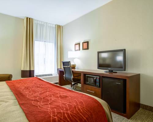 Imagen de la habitación del Hotel Comfort Inn and Suites Clemson - University Area. Foto 6