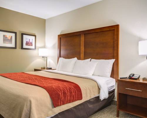 Imagen de la habitación del Hotel Comfort Inn and Suites Clemson - University Area. Foto 8