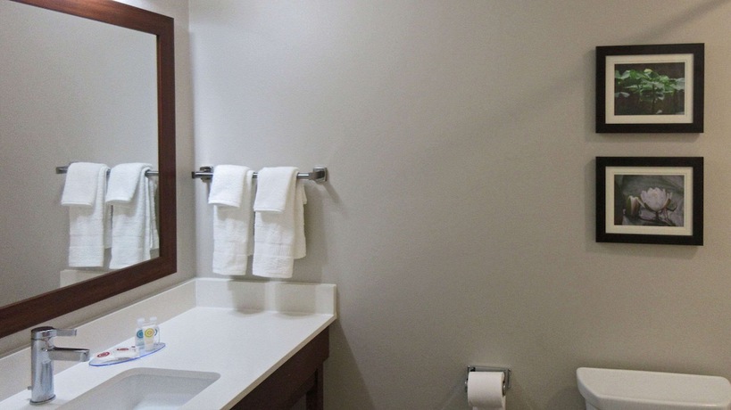 Imagen de la habitación del Hotel Comfort Inn and Suites, Clover Heights. Foto 19