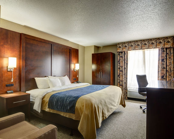 Imagen de los interiores del Hotel Comfort Inn and Suites Conway. Foto 8