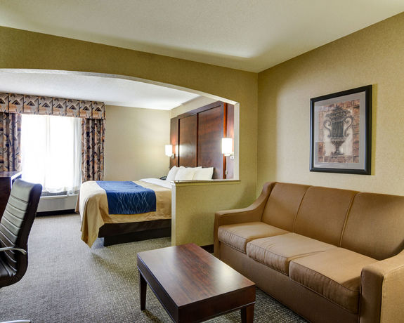 Imagen de la habitación del Hotel Comfort Inn and Suites Conway. Foto 7
