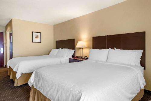 Imagen de la habitación del Hotel Comfort Inn and Suites Dahlonega University Area. Foto 5