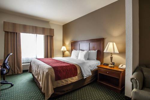 Imagen de la habitación del Hotel Comfort Inn and Suites Davenport - Quad Cities. Foto 6