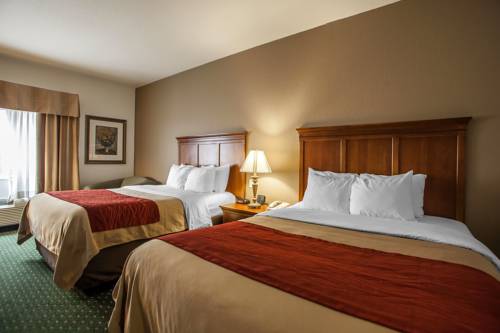 Imagen de la habitación del Hotel Comfort Inn and Suites Davenport - Quad Cities. Foto 10