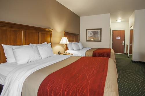 Imagen de la habitación del Hotel Comfort Inn and Suites Davenport - Quad Cities. Foto 15