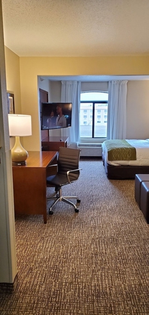 Imagen de la habitación del Hotel Comfort Inn and Suites Decatur - Forsyth. Foto 8