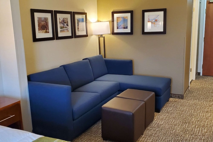 Imagen de la habitación del Hotel Comfort Inn and Suites Decatur - Forsyth. Foto 12