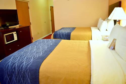 Imagen de la habitación del Hotel Comfort Inn and Suites Deland - Near University. Foto 3