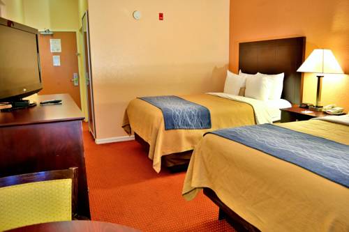 Imagen general del Hotel Comfort Inn and Suites Deland - Near University. Foto 1
