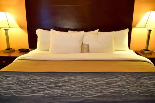 Imagen de la habitación del Hotel Comfort Inn and Suites Deland - Near University. Foto 4