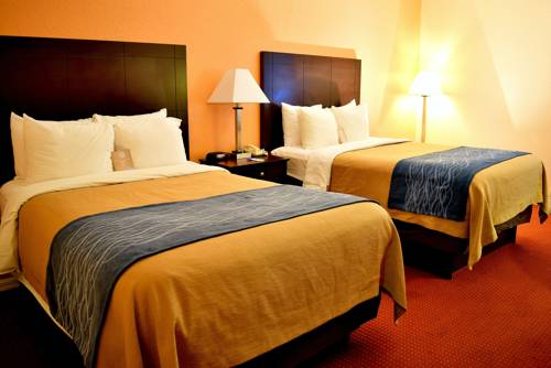 Imagen de la habitación del Hotel Comfort Inn and Suites Deland - Near University. Foto 6