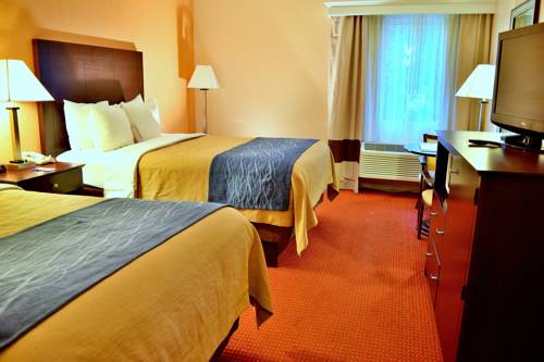 Imagen de la habitación del Hotel Comfort Inn and Suites Deland - Near University. Foto 8