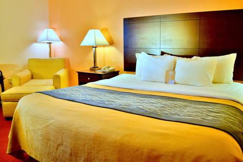 Imagen de la habitación del Hotel Comfort Inn and Suites Deland - Near University. Foto 9