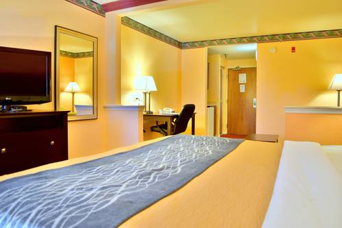 Imagen de la habitación del Hotel Comfort Inn and Suites Deland - Near University. Foto 10