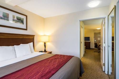 Imagen de la habitación del Hotel Comfort Inn and Suites, Dover. Foto 5
