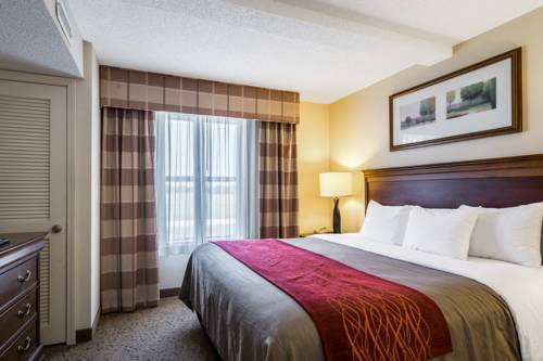 Imagen de la habitación del Hotel Comfort Inn and Suites, Dover. Foto 7