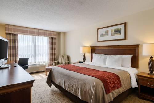 Imagen de la habitación del Hotel Comfort Inn and Suites, Dover. Foto 10