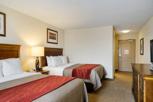 Imagen de la habitación del Hotel Comfort Inn and Suites, Dover. Foto 13